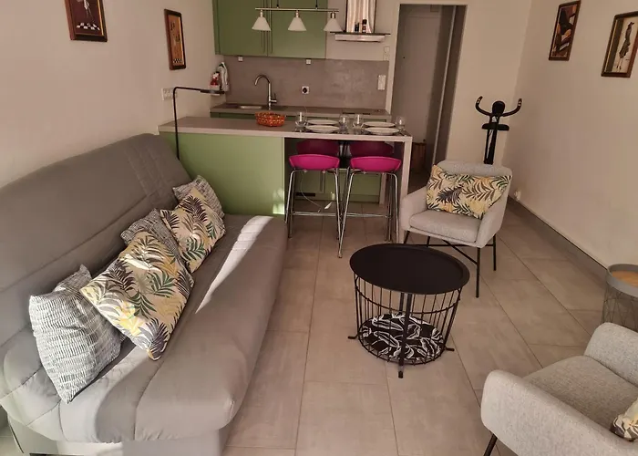 Apartman T2 Hyper Centre Rue Calme